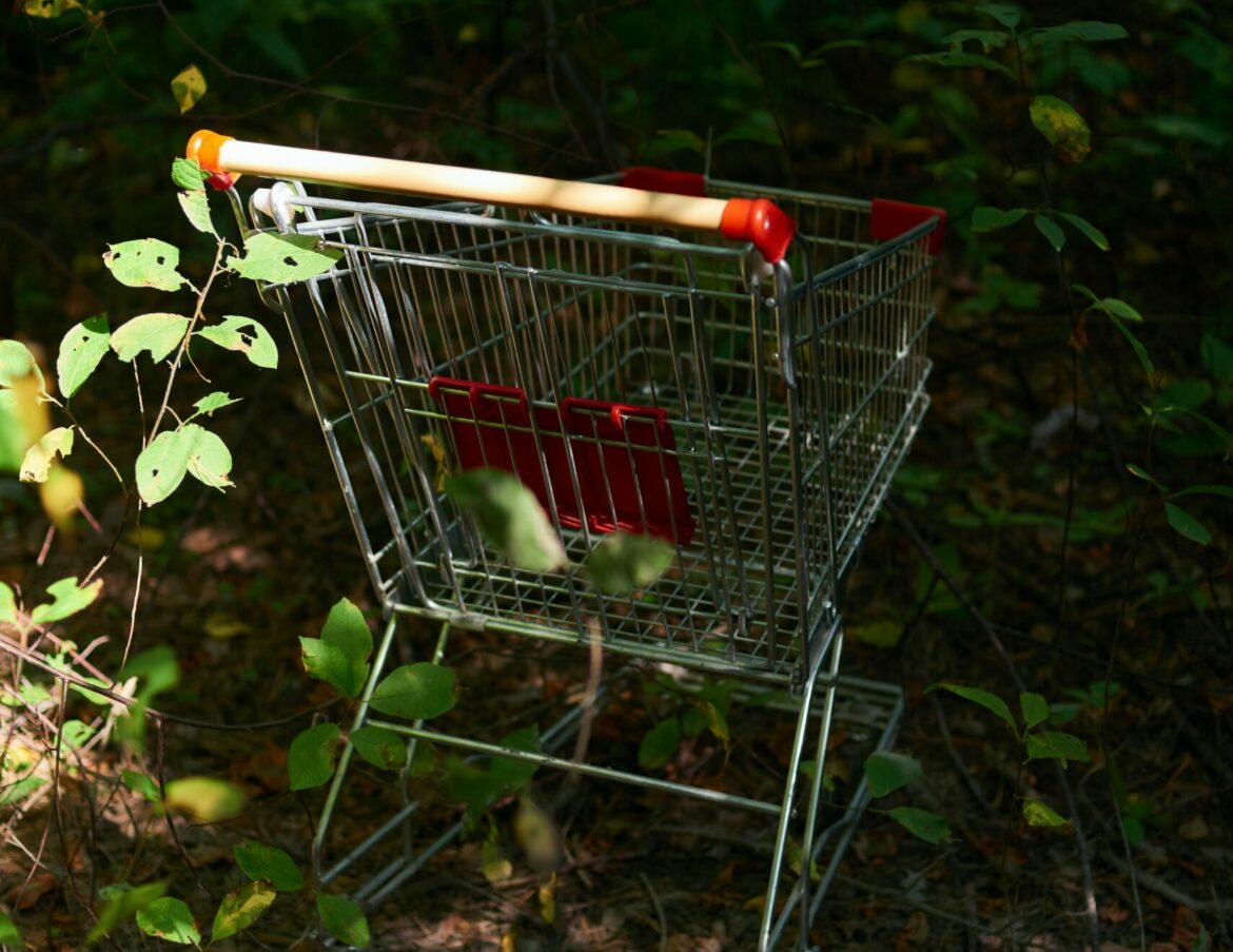 Comportements d'achat des français