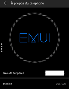 capture d'écran montrant le code VOG-L29 du Huawei P30 Pro